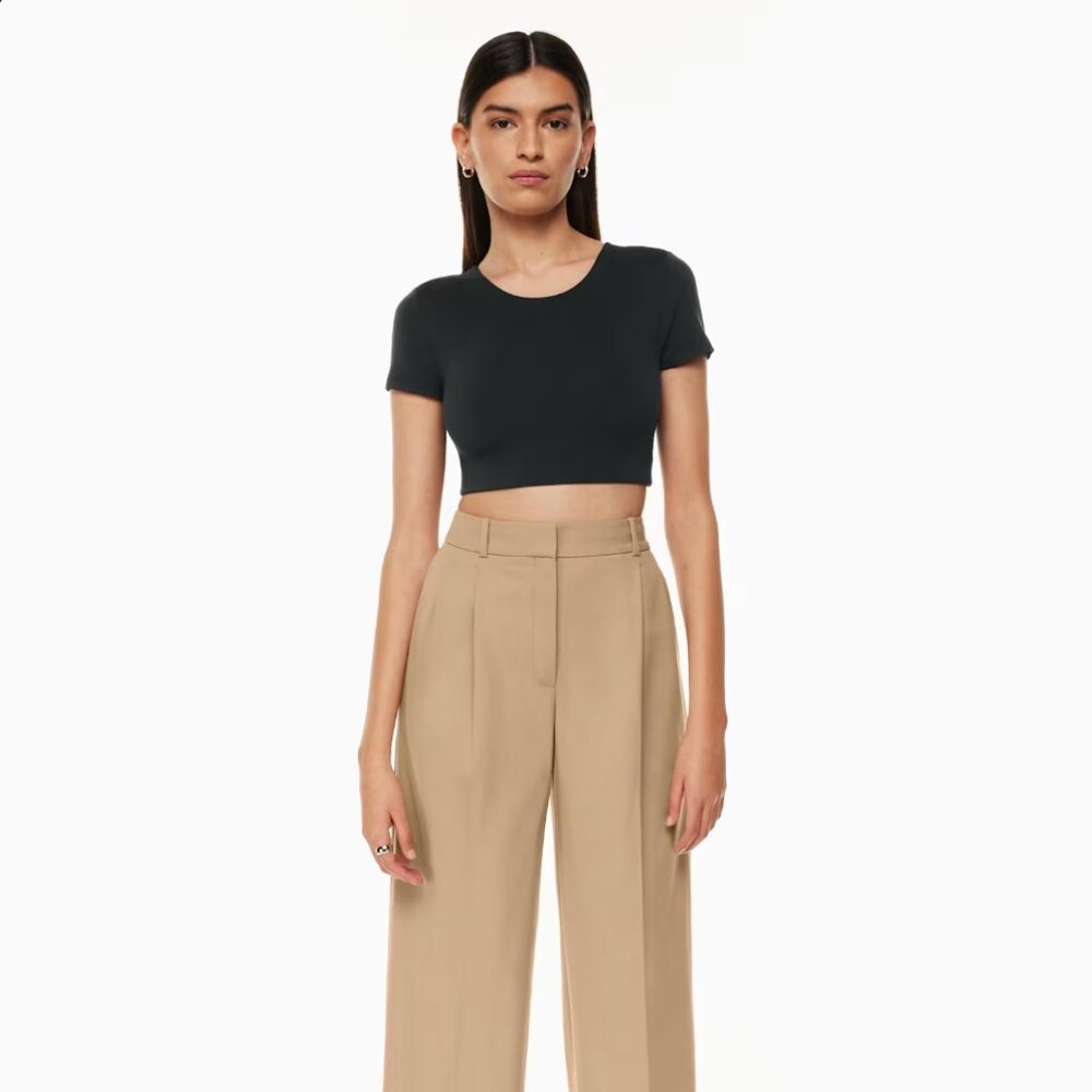Aritizia Wilfred wide leg pleated pants